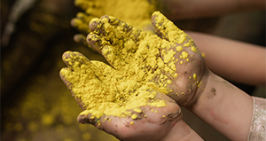 Close up of a girl's hands holding yellow powder 